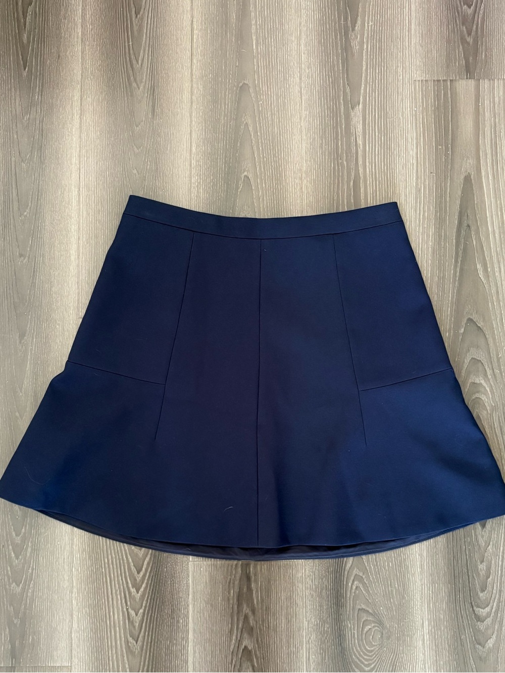 J. Crew Navy Circle Skirt